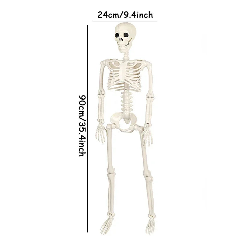 Halloween Movable Skeleton Fake Human