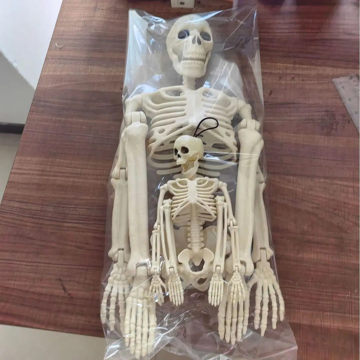 Halloween Movable Skeleton Fake Human